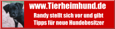 Banner www.tierheimhund.de